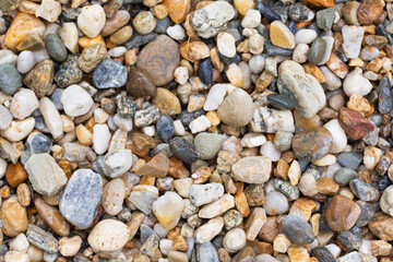 Green Nature Wallpaper