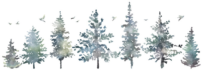 Watercolor hand drawn forest set with delicate illustration of coniferous trees spruce, fir, pine, foggy landscapes, silhouette of birds. Elements isolated on a white background. Woodland collection - obrazy, fototapety, plakaty