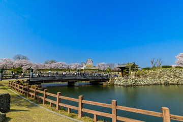 姫路城公園、桜門橋を渡って大手門より城内へ、4月6日、姫路市、日本