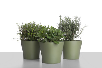 Pots with thyme, mint and rosemary on white background