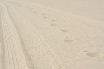 Fototapeta na wymiar Dry beach sand with track of car as background, closeup
