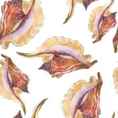 Seashells watercolor painting seamless pattern. Summer sea  wallpaper - 507956732