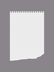 Lined notebook paper with torn edge, vector illustration isolated on gray background.