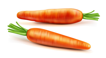 Carrot vector isolated illustration. Orange vegetable with green leaves and shadow in realistic style on white background