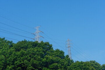 Obraz premium 青空