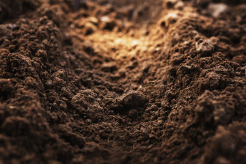 Close-up of fertile loam for the background