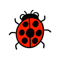 beetle hand drawn. simple and cute illustrations in vector design