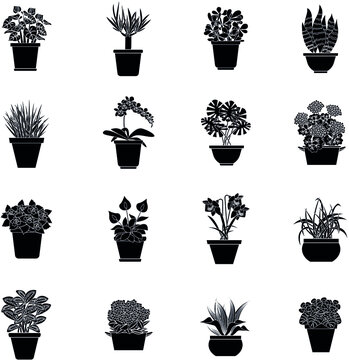 House plants vector black and white icon collection set