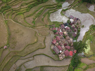 Rice Terraces in the Ifugao Mountain Province Philippines