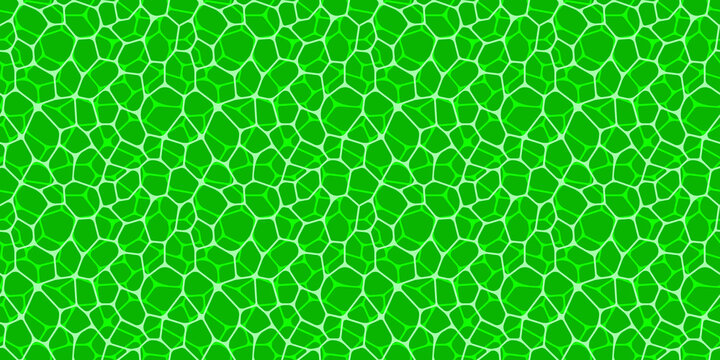 Green Cells Net Seamless Pattern. Leaf Vector Template Background. Cellular Structure Repeated Texture. Can Use Organic, Scientific, Medicine Designs. Fresh Eco And Organic Products Backdrop.