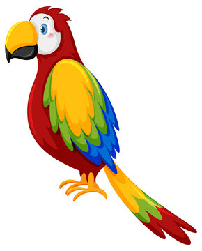Parrot bird in cartoon style