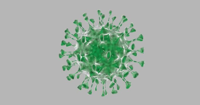 The virus is green spinning on a gray background. A live viral cell of a dangerous one.