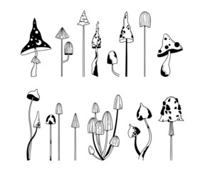 Mystical mushroom isolated clip art bundle, hand drawn poisonous amanita mushrooms or fly agaric fungus in black and white line, vector illustration set