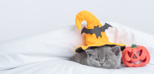 Cute kitten wearing  hat for halloween lying with pumpkin under warm blanket on a bed at home. Empty space for text
