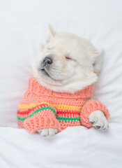 Golden retriever puppy wearing warm sweater sleeps under white blanket on a bed at home. Top down view