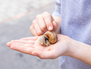 The girl holds a snail in her palm and strokes it