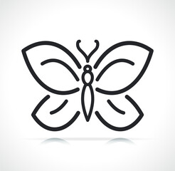butterfly thin line icon isolated