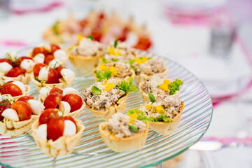 canapes on a plate. catering services for the banquet. convenient small snacks.