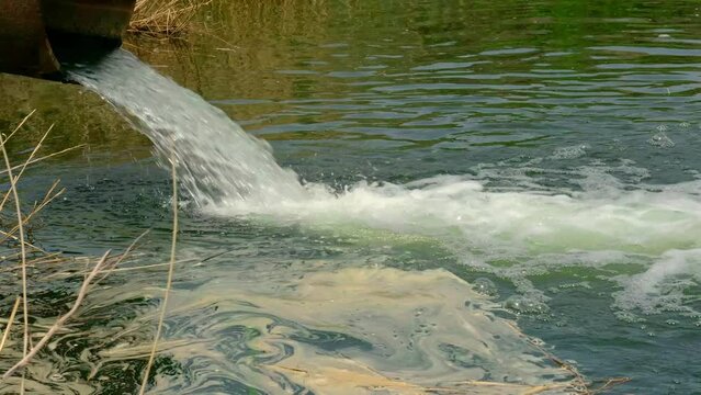Draining sewage from pipe into river, pollution rivers and ecology.
