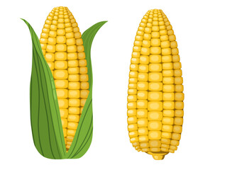 Corn 