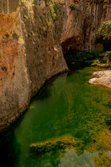 swampy river pool in the jungle