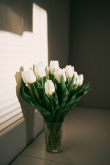 Minimalism closeup of white tulips blossoms in the living room. Sunshine on the flowers indoors.