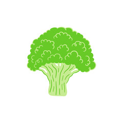 Broccoli flat vector doodle illustration. Green vegetables healthy food clipart