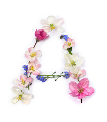 Letter A of flowers apple tree and blue wildflowers forget-me-nots on white background. Top view, flat lay