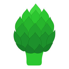 Fresh artichoke  isolated on white background.