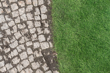 Artifical green grass and stone tile pavement texture background. Fake, not real, evergreen, beautiful turf lawn in city park. Backyard and garden landscape design. Close up, copy space