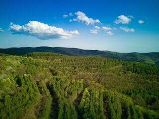 Fototapeta na wymiar A view from a height of the meadows and slopes of the Balkan Mountains under daylight in Bulgaria