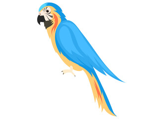 Tropical parrot yellow-blue Macaw sits isolated on white. Exotic beautiful poll-parrot. Bird lives in jungle and warm countries. Feathered with bright plumage, representative of wildlife, zoology