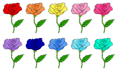 Roses cartoon icon set. Rose vector illustration isolated on white background. Different colors.