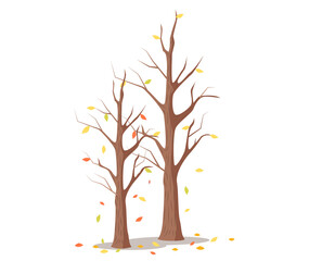 Leafless dry tree, autumn season, yellow leaves fall down from tree, empty trunk and branches. Wooden garden, autumn forest, isolated plant. Death plant in park due to climate change in environment