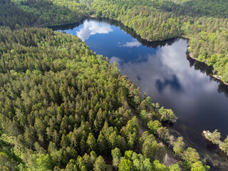 Bird's eye view of lake with trees, forest. Aerial, drone nature photography taken from above in Sweden in summer.  Dark blue water surface with clouds reflecitons, copy space, place for text.