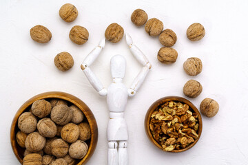 Walnut in human brain. The study. Anatomical concept of the brain in the form of a walnut. White background