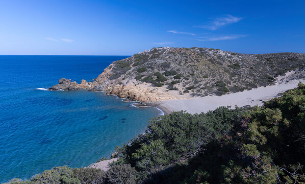 Palmenhain am Strand bei Vai und Psili Ammos Sandd&uuml;nen - Kreta - Griechenland 