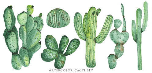 Watercolor set of cactus and succulent plants isolated on white background. Floral illustration for your projects, greeting cards and invitations.