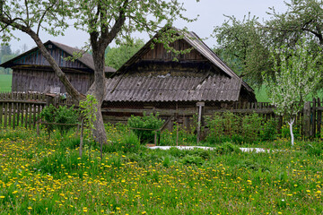 Fototapeta na wymiar A wooden old farmhouse and barn in a poor village is uninhabitable.