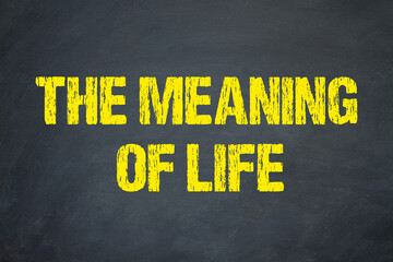 The meaning of life