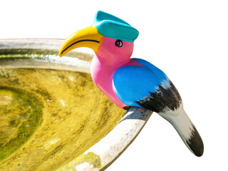 hornbill on garden bird bath