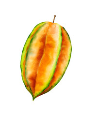 Watercolor illustration - Tropical fruits: Carambola