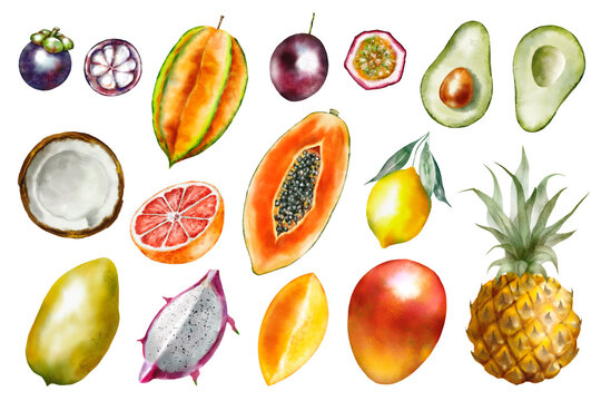 Watercolor illustration set - Tropical fruits: mangosteen, papaya, passion fruit, carambola, coconut, grapefruit, orange, lemon, avocado, mango, pineapple, pitahaya.