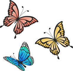 Set of vector butterflies of different colors on a white background