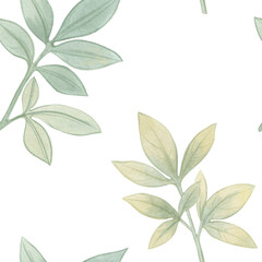 Watercolor green leaves collected in a seamless pattern for design. Abstract seamless, botanical background. Watercolor illustration.