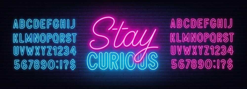 Stay Curious neon lettering on brick wall background.
