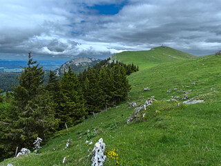 Le Suchet, Switzerland - May 2022 : Hiking to the Suchet mountain (1587 m) in the Swiss Jura Mountains
