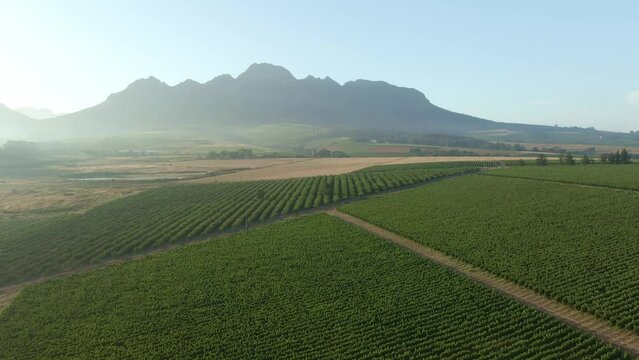 Aerial view of agricultural fields and mountains