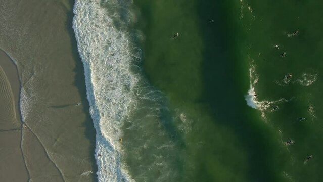 Aerial view of people sea surfing