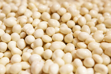 Candy chocolate sweets. Close up view of delicious chocolate round candies. Chocolate candys in shop window. Sweets for Easter, Halloween. Unhealthy or organic food. Selective focus 